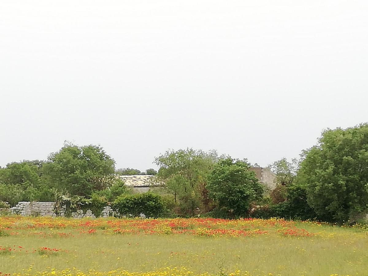 Agriturismo Fondo Paliemmu โมดิกา ภายนอก รูปภาพ