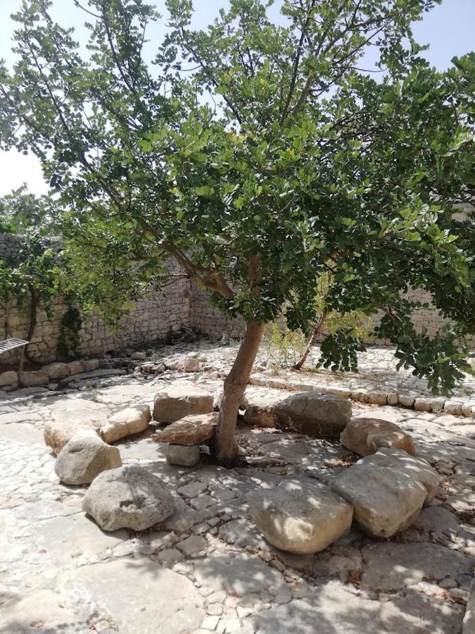 Agriturismo Fondo Paliemmu โมดิกา ภายนอก รูปภาพ