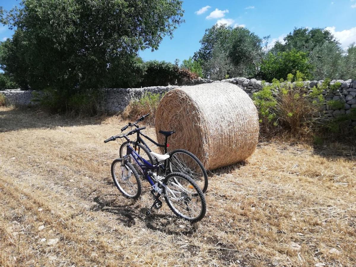 Agriturismo Fondo Paliemmu โมดิกา ภายนอก รูปภาพ